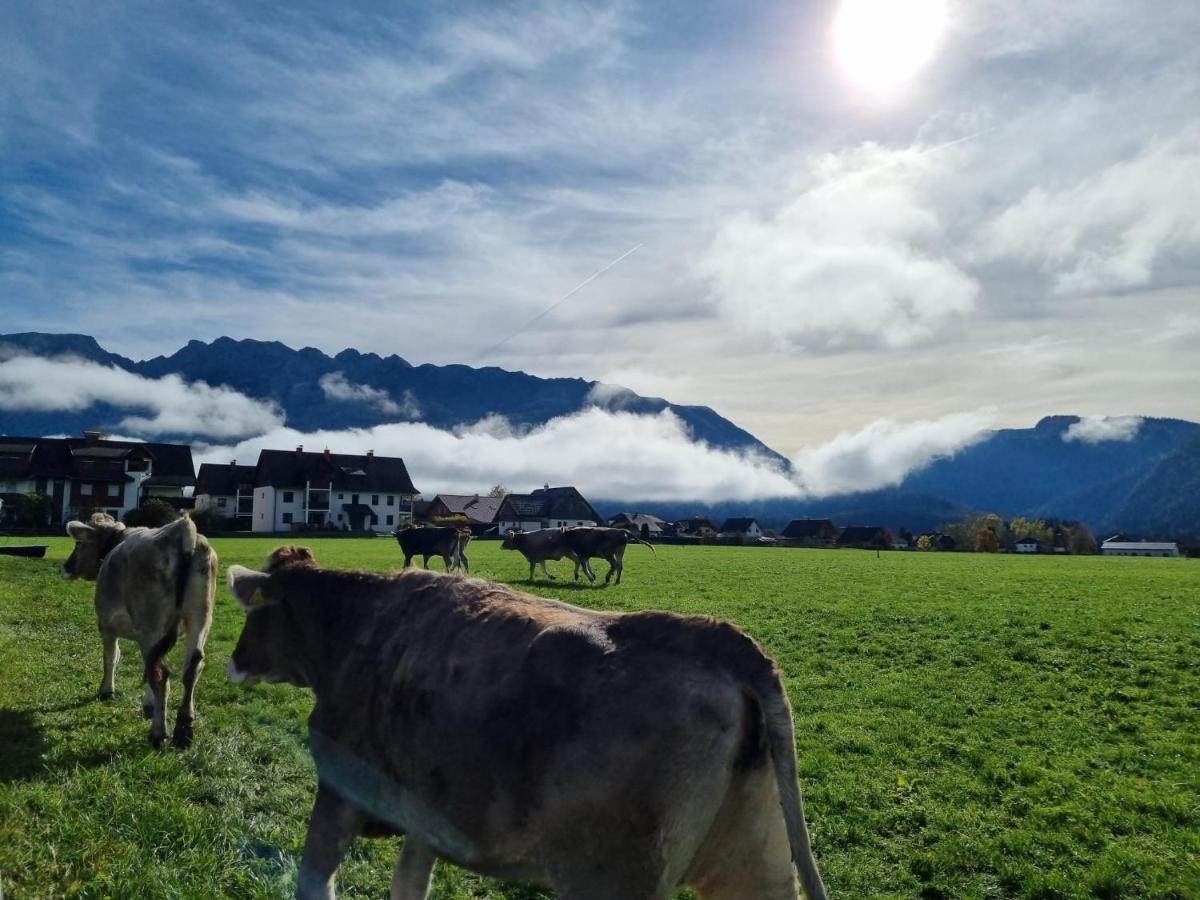 Urlaub Am Bauernhof Bei Familie Steinbrecher 巴德米滕多夫 外观 照片